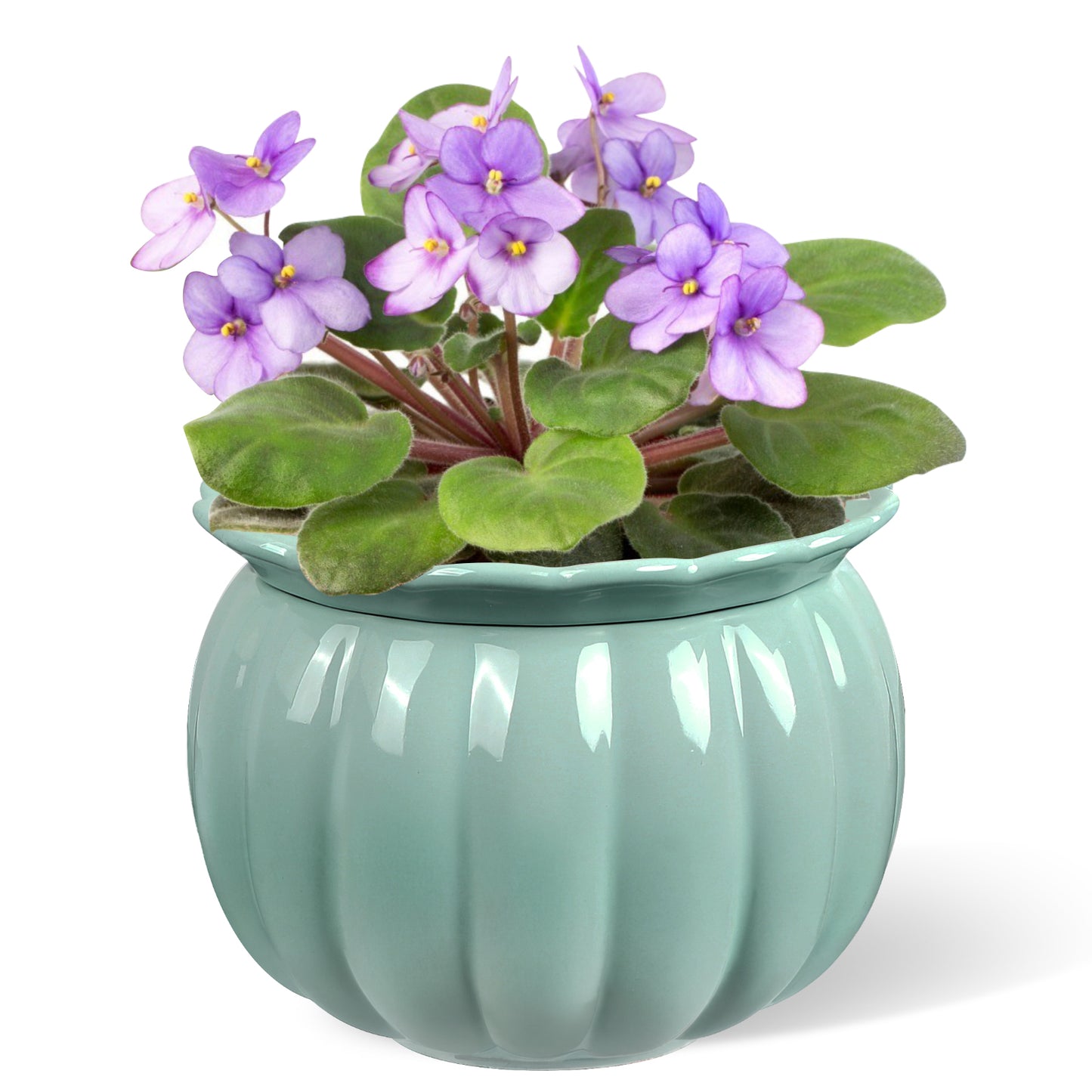 EFISPSS 6 Inch Pumpkin Shaped Sage Green Ceramic Self-Watering Pot | Ribbed Textured Indoor Planter