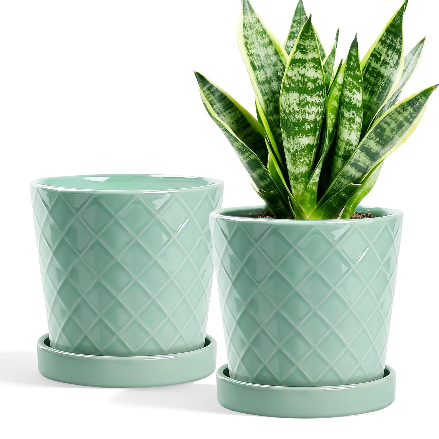 BUYMAX Plant Pots Indoor ¨C6 inch Ceramic Flower Pot with Drainage Hole and Ceramic Tray - Gardening Home Desktop Office Windowsill Decoration, Set of 2(Green)Same pattern