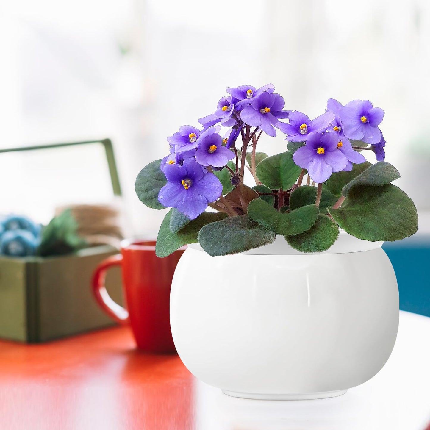 EFISPSS 8 Inch Ceramic Self-Watering Plant Pot | African Violet Pot, Indoor, White