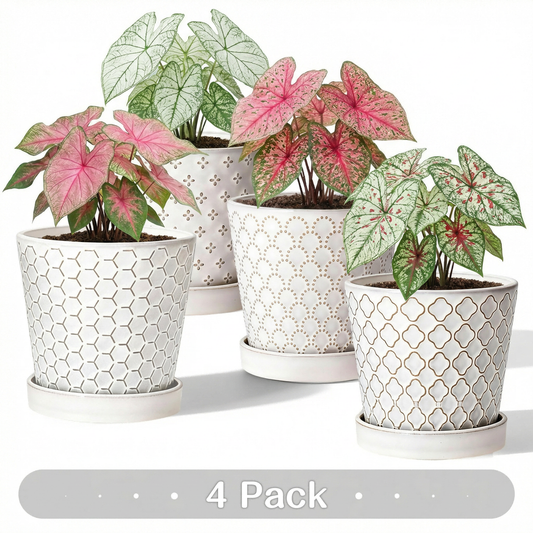 EFISPSS 5 Inch White Ceramic Plant Pots with Drainage Holes & Tray, Relief Design, Set of 4 – Indoor Flower Pots for Desktop, Office & Windowsill