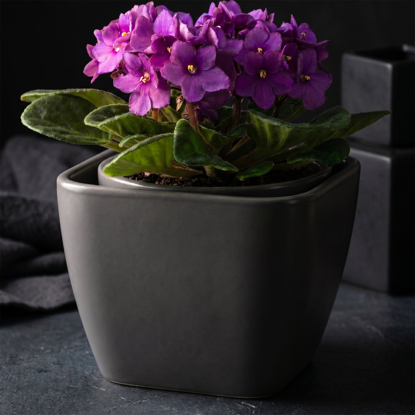 EFISPSS 6 Inch Square Ceramic Self-Watering Plant Pot | Gray Indoor Outdoor Decorative Flower Pot