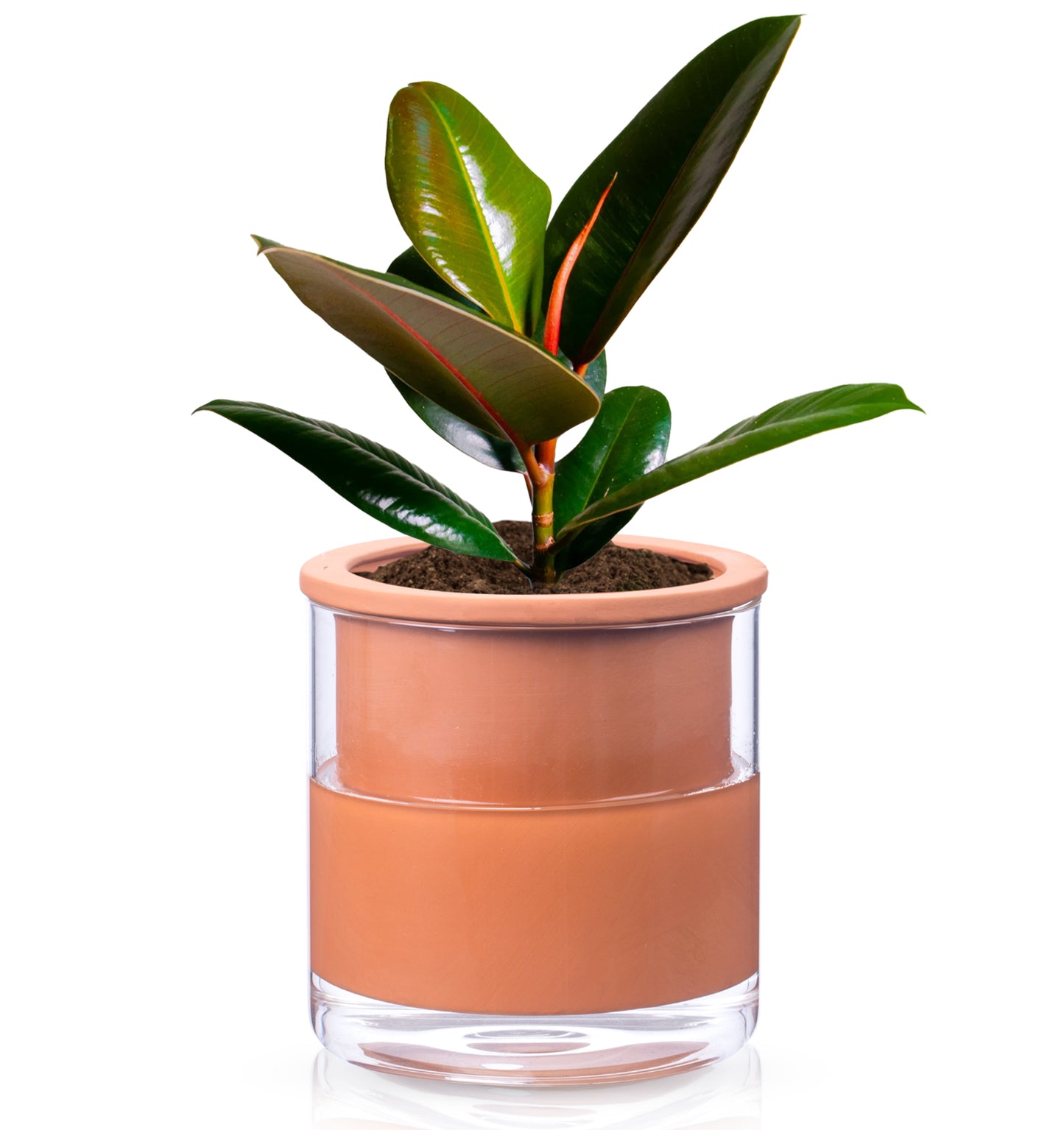 EFISPSS 6 Inch Self-Watering Terracotta Plant Pot with Glass Reservoir | Indoor Planter for Succulents & Home Office Decor