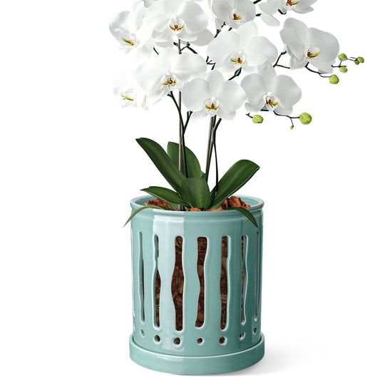 BUYMAX 6" Ceramic Orchid Pot with Slotted Drainage Holes and Tray,Blue