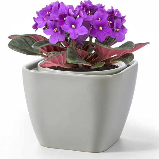 EFISPSS 6 Inch Square Ceramic Self-Watering Plant Pot | Gray Indoor Outdoor Decorative Flower Pot