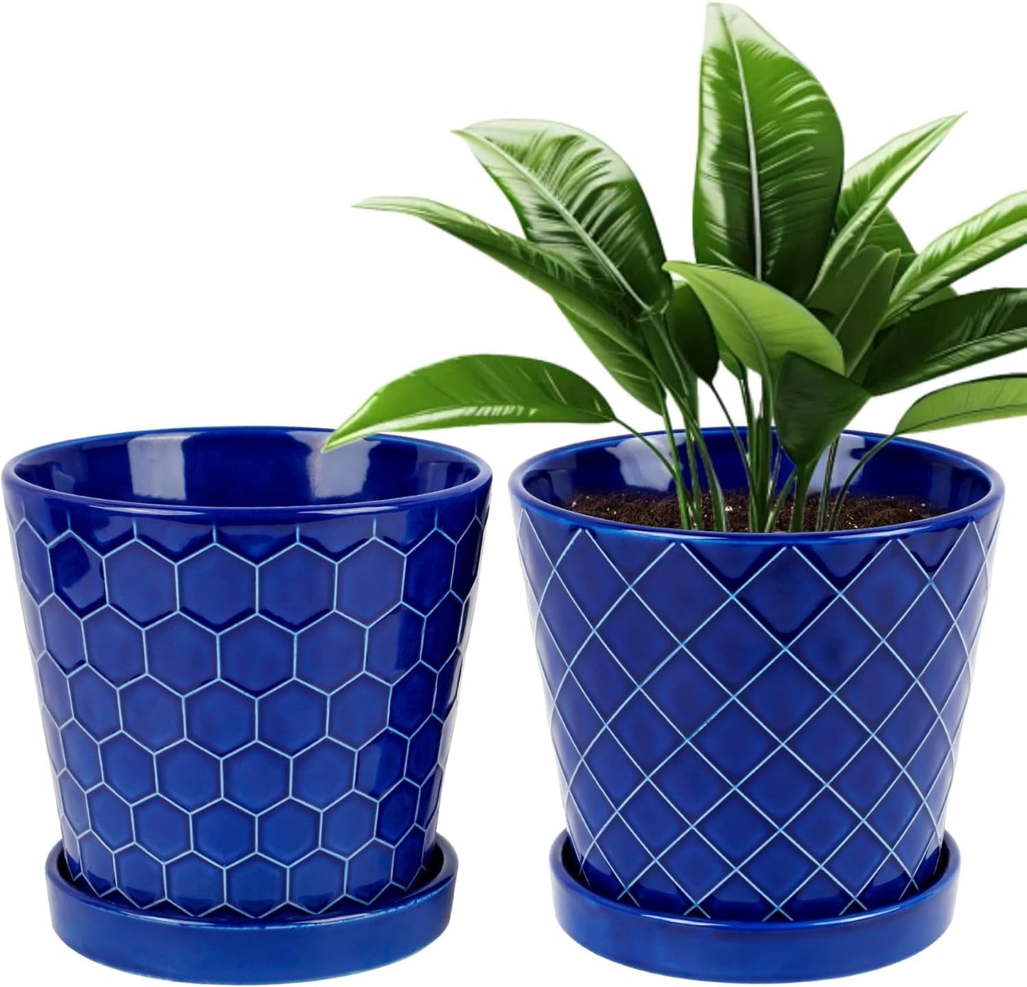 BUYMAX Plant Pots Indoor ¨C6 inch Ceramic Flower Pot with Drainage Hole and Ceramic Tray - Gardening Home Desktop Office Windowsill Decoration, Set of 2(Blue)