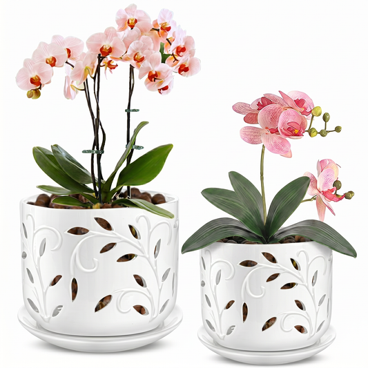 BUYMAX Ceramic Orchid Pots with Drainage Holes & Saucers, 5"+6" Set of 2