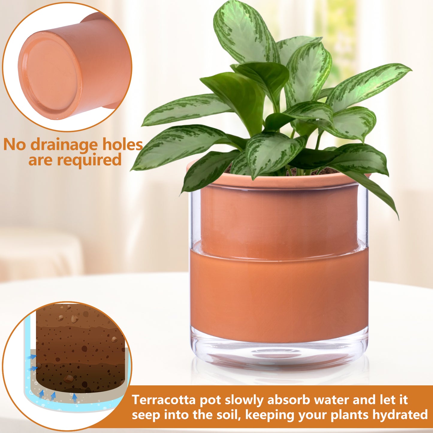 EFISPSS 6 Inch Self-Watering Terracotta Plant Pot with Glass Reservoir | Indoor Planter for Succulents & Home Office Decor