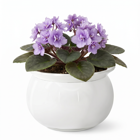 EFISPSS Ceramic Self Watering Plant Pot – African Violet Pot, 5.7" D x 4.3" H, Indoor Outdoor Flower Planter, White