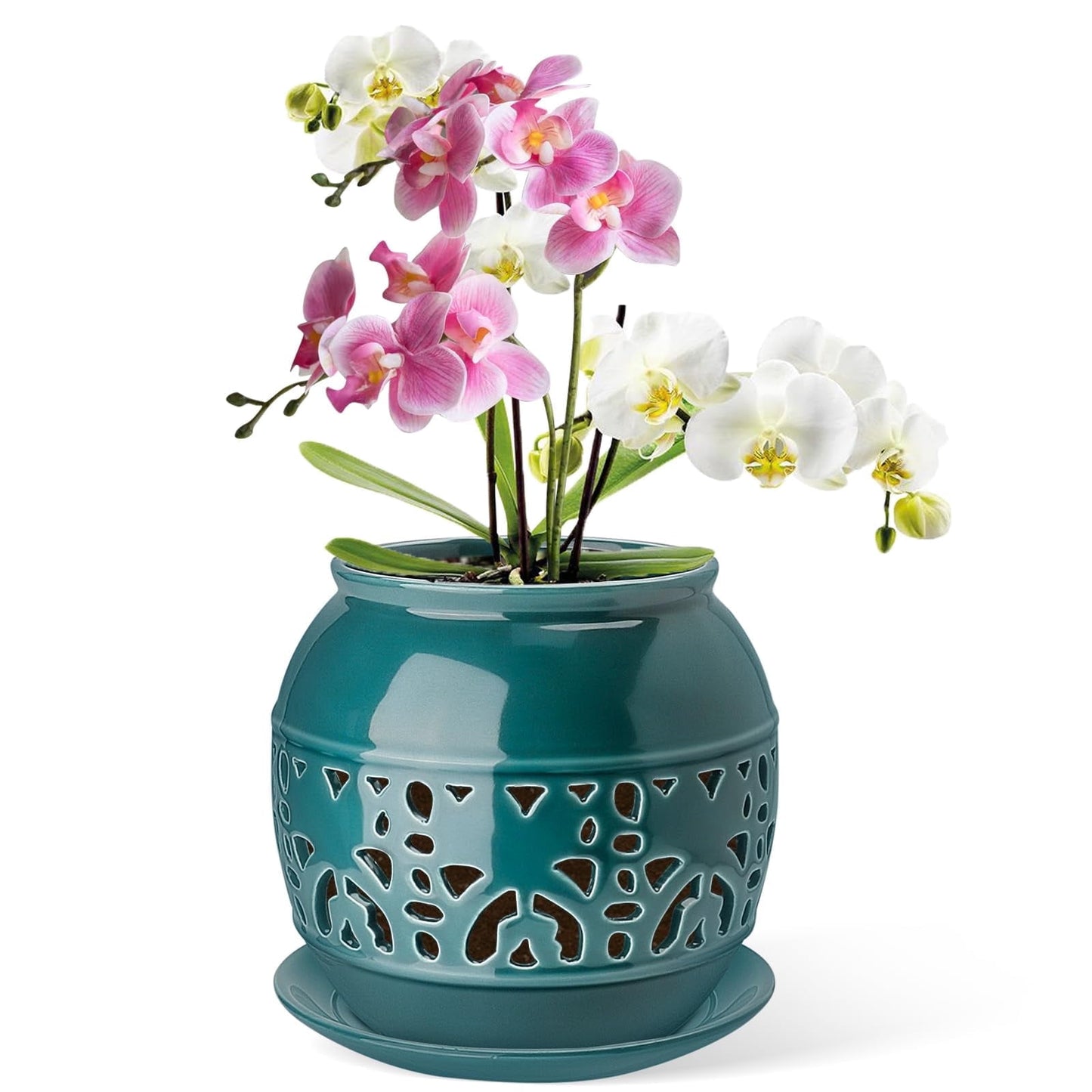 BUYMAX 6 Inch Blue Ceramic Orchid Pot with Drainage Holes and Tray ¨C Indoor/Outdoor Planter for Repotting, New Plants, and Root Ventilation