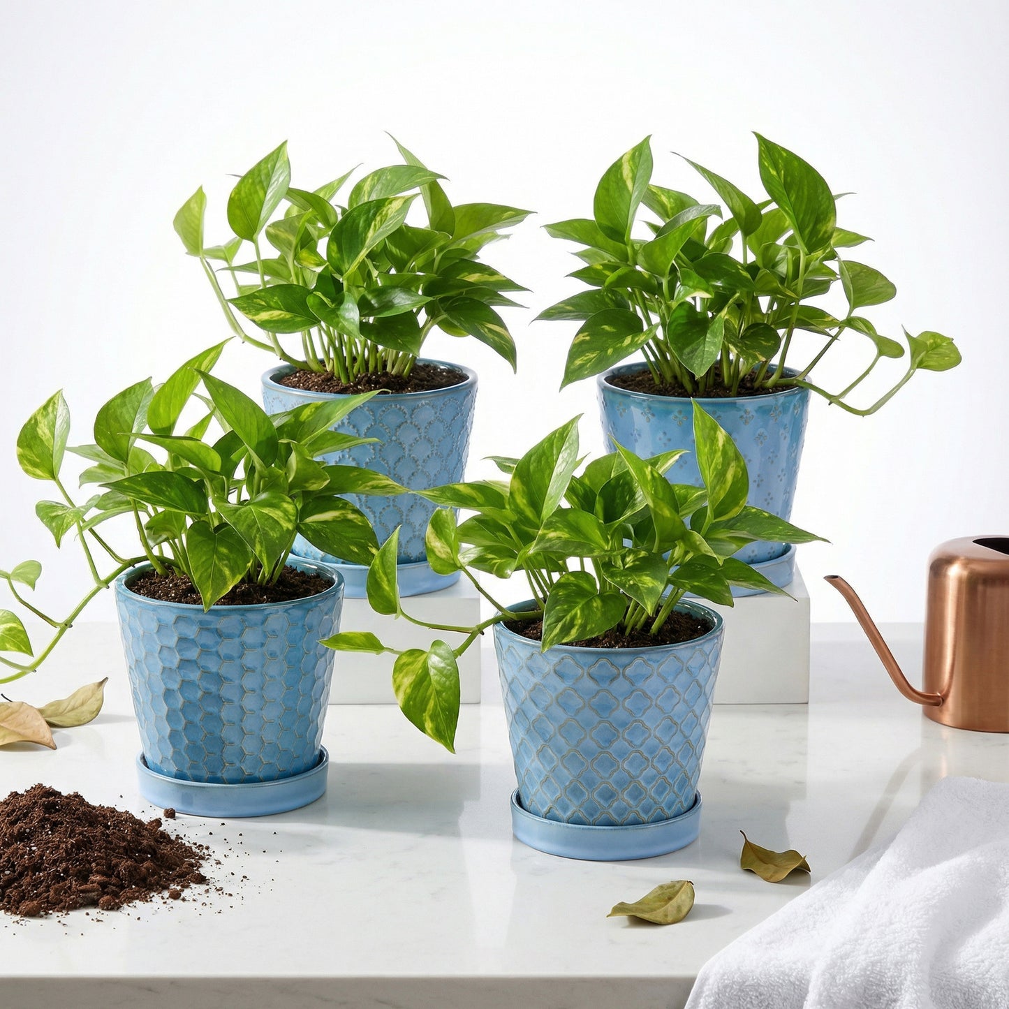 BUYMAX 5" Ceramic Indoor Plant Pots with Drainage & Tray | Relief Design, Set of 4