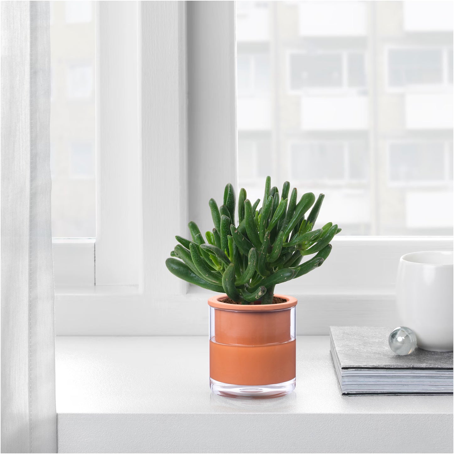 EFISPSS 6 Inch Self-Watering Terracotta Plant Pot with Glass Reservoir | Indoor Planter for Succulents & Home Office Decor