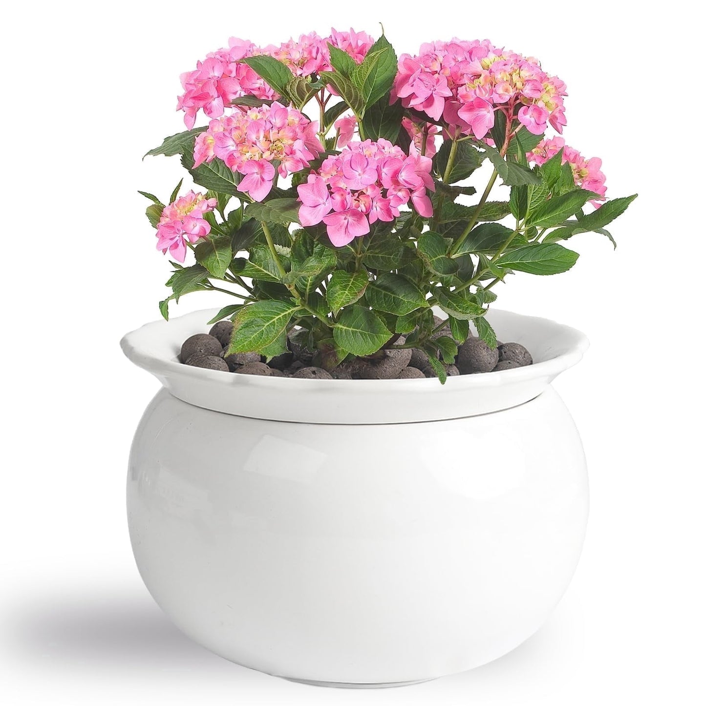 EFISPSS Ceramic Self Watering Plant Pot – African Violet Pot, 5.7" D x 4.3" H, Indoor Outdoor Flower Planter, White