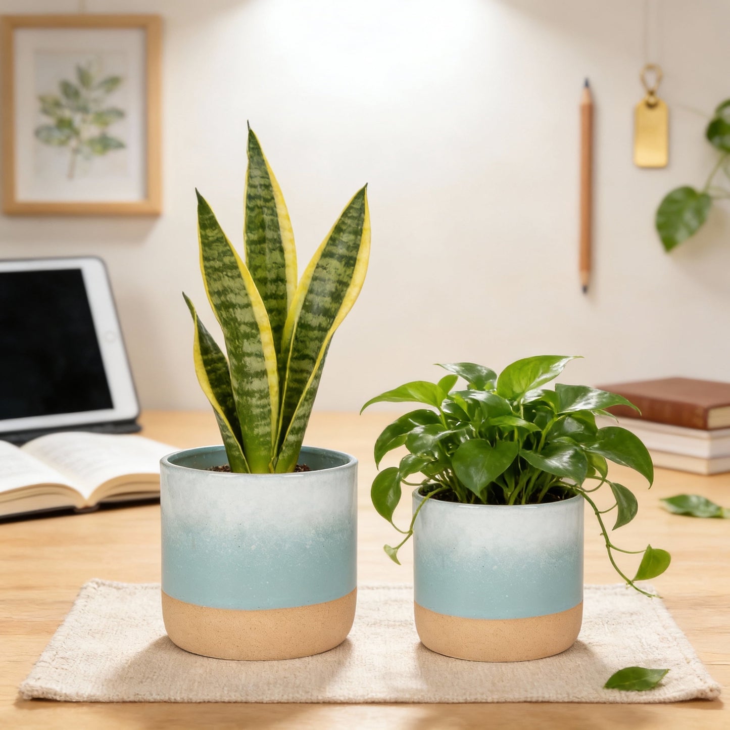EFISPSS Ceramic Plant Pots 5" & 6" , Set of 2 in Turquoise and Cobalt Blue, Indoor Flower Pots with Drainage for Succulents, Herbs, Home and Garden Decor