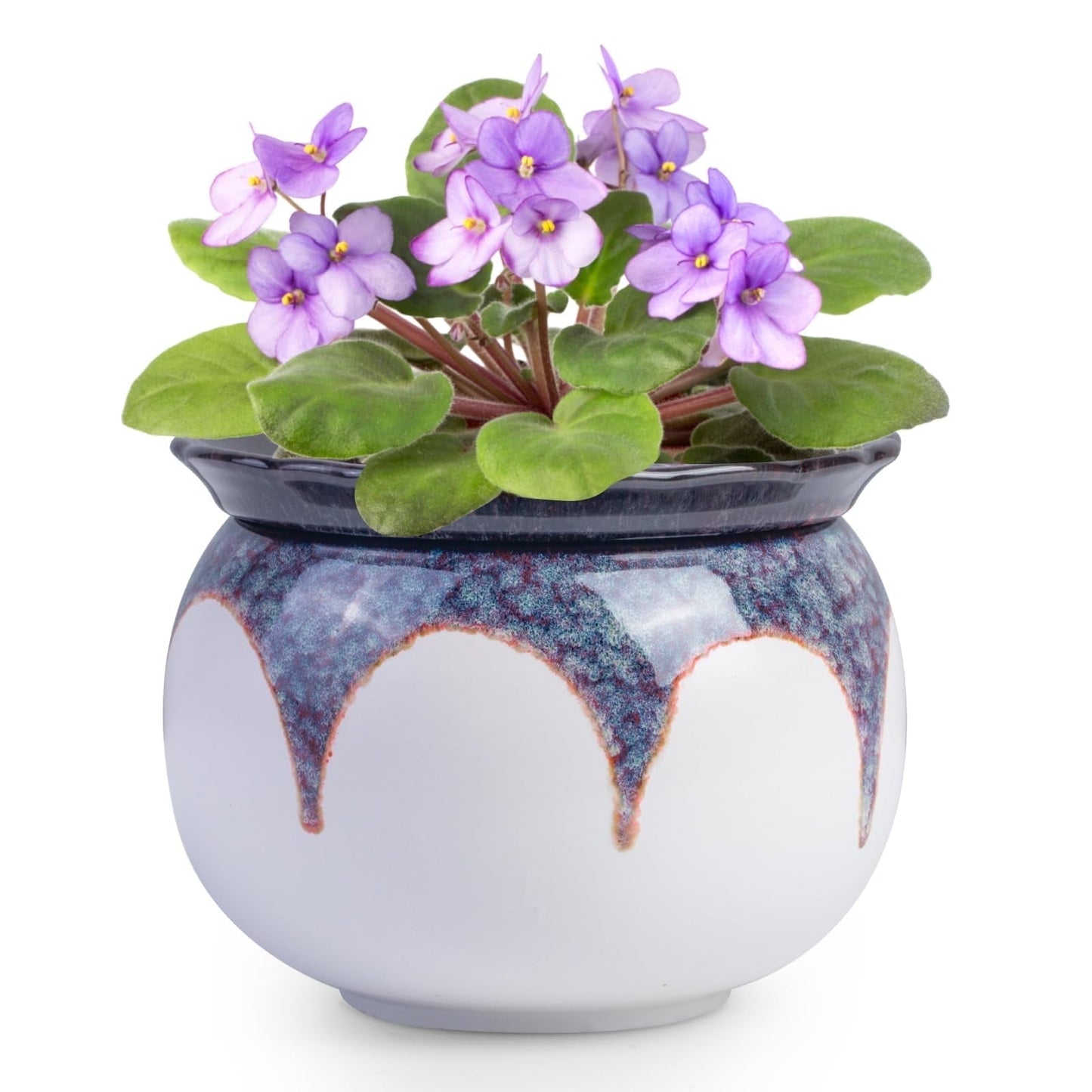 EFISPSS 6 Inch Ceramic Self-Watering African Violet Pot | Kiln Glazed Red & White