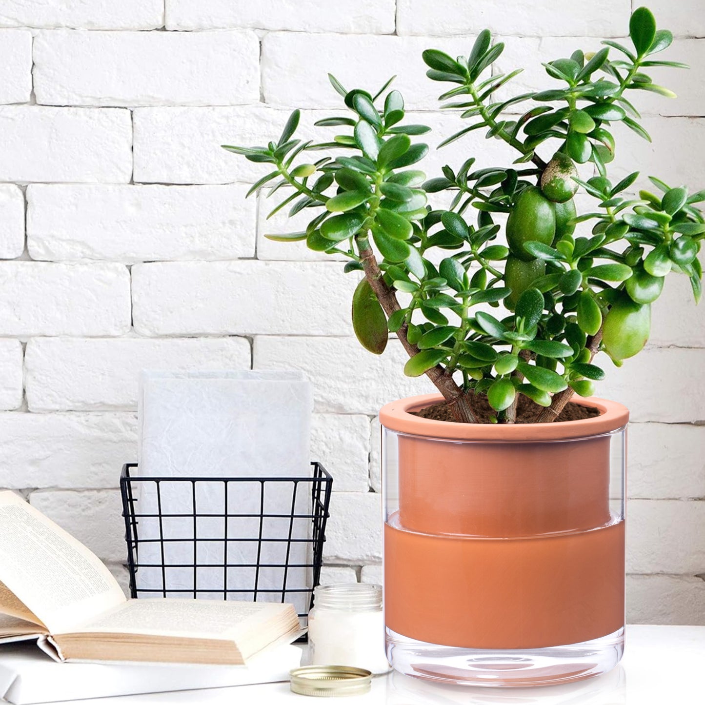 EFISPSS 6 Inch Self-Watering Terracotta Plant Pot with Glass Reservoir | Indoor Planter for Succulents & Home Office Decor