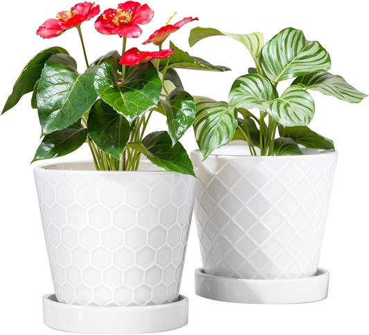 BUYMAX Plant Pots Indoor ¨C6 inch Ceramic Flower Pot with Drainage Hole and Ceramic Tray - Gardening Home Desktop Office Windowsill Decoration, Set of 2(White)