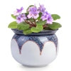 EFISPSS 6 Inch Ceramic Self-Watering African Violet Pot | Kiln Glazed Red & White