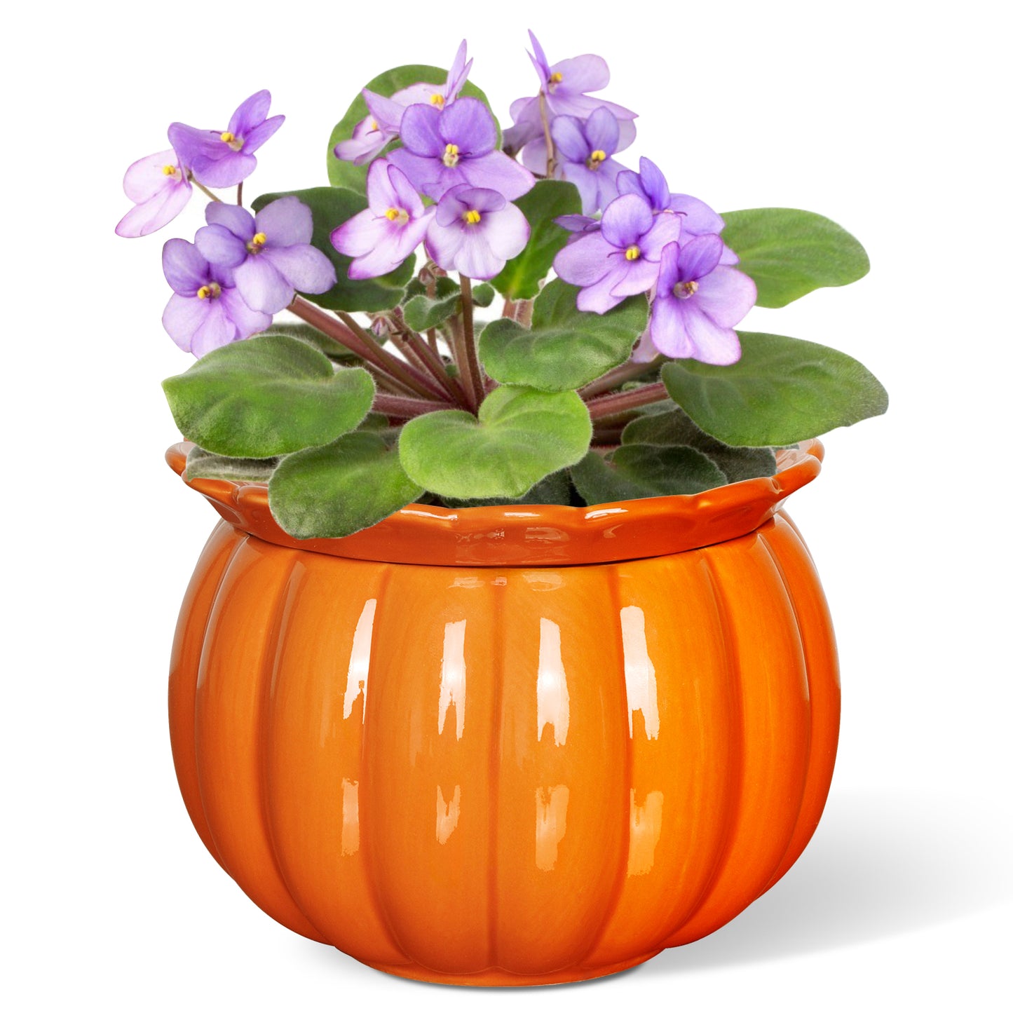 EFISPSS Pumpkin Shaped Orange Ceramic Self-Watering Pot | Cute Decorative Indoor Plant Container