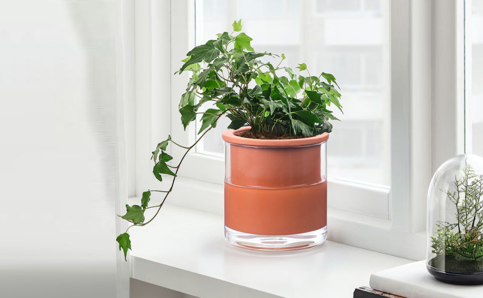 EFISPSS 6 Inch Self-Watering Terracotta Plant Pot with Glass Reservoir | Indoor Planter for Succulents & Home Office Decor
