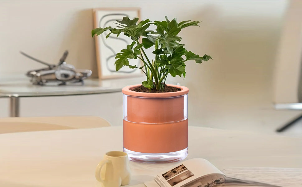 EFISPSS 6 Inch Self-Watering Terracotta Plant Pot with Glass Reservoir | Indoor Planter for Succulents & Home Office Decor