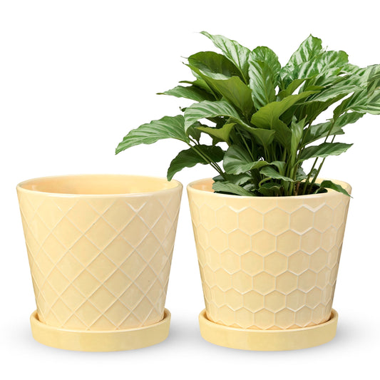 BUYMAX Plant Pots Indoor ¨C6 inch Ceramic Flower Pot with Drainage Hole and Ceramic Tray - Gardening Home Desktop Office Windowsill Decoration, Set of 2(YELLOW)