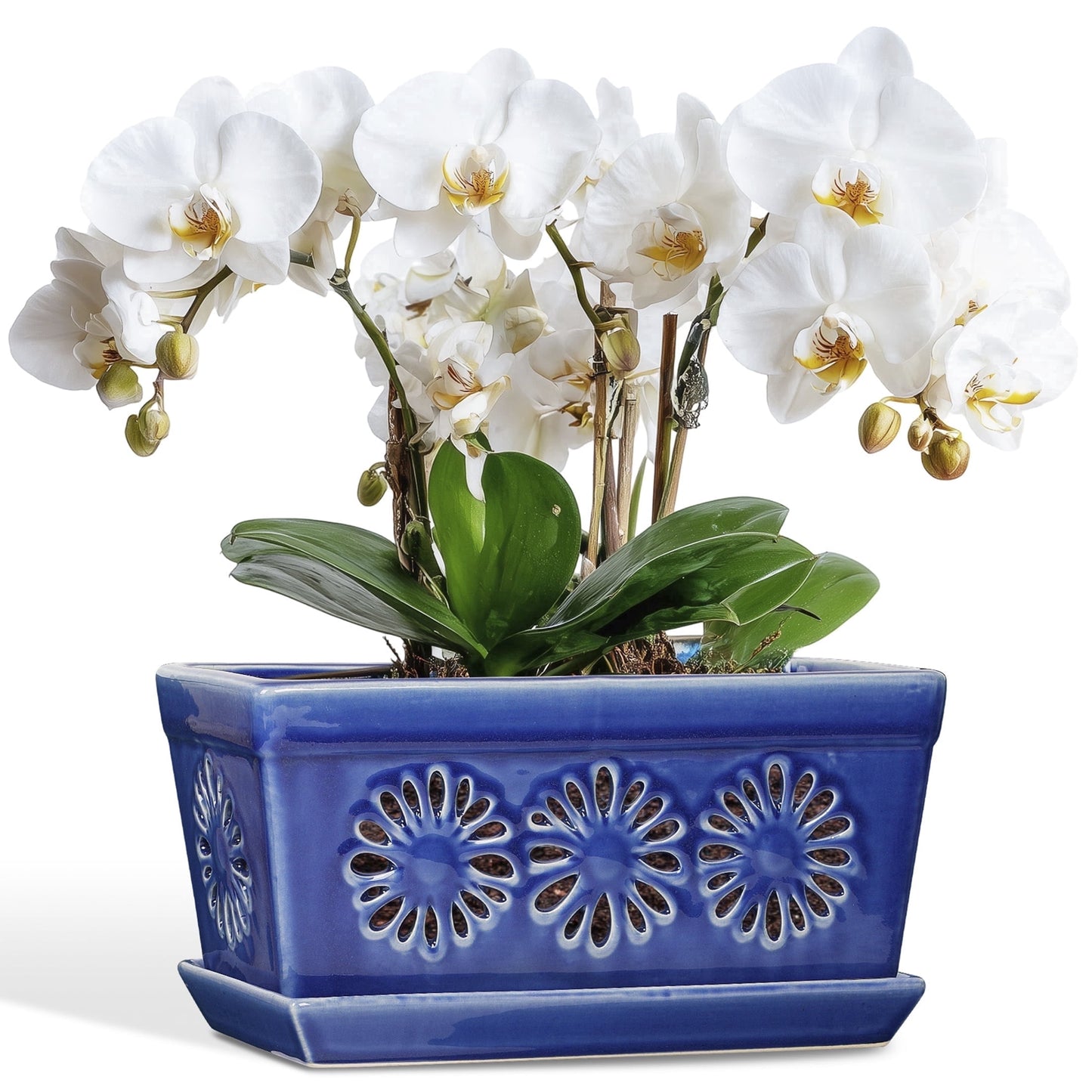 Ceramic Orchid Pot, 10 Inch Orchid Pots with Holes, Premium Thickened Handmade Glazed Pot for Orchidaceae Plants, Indoor Outdoor Decorative Flower Pots for Easy Repotting