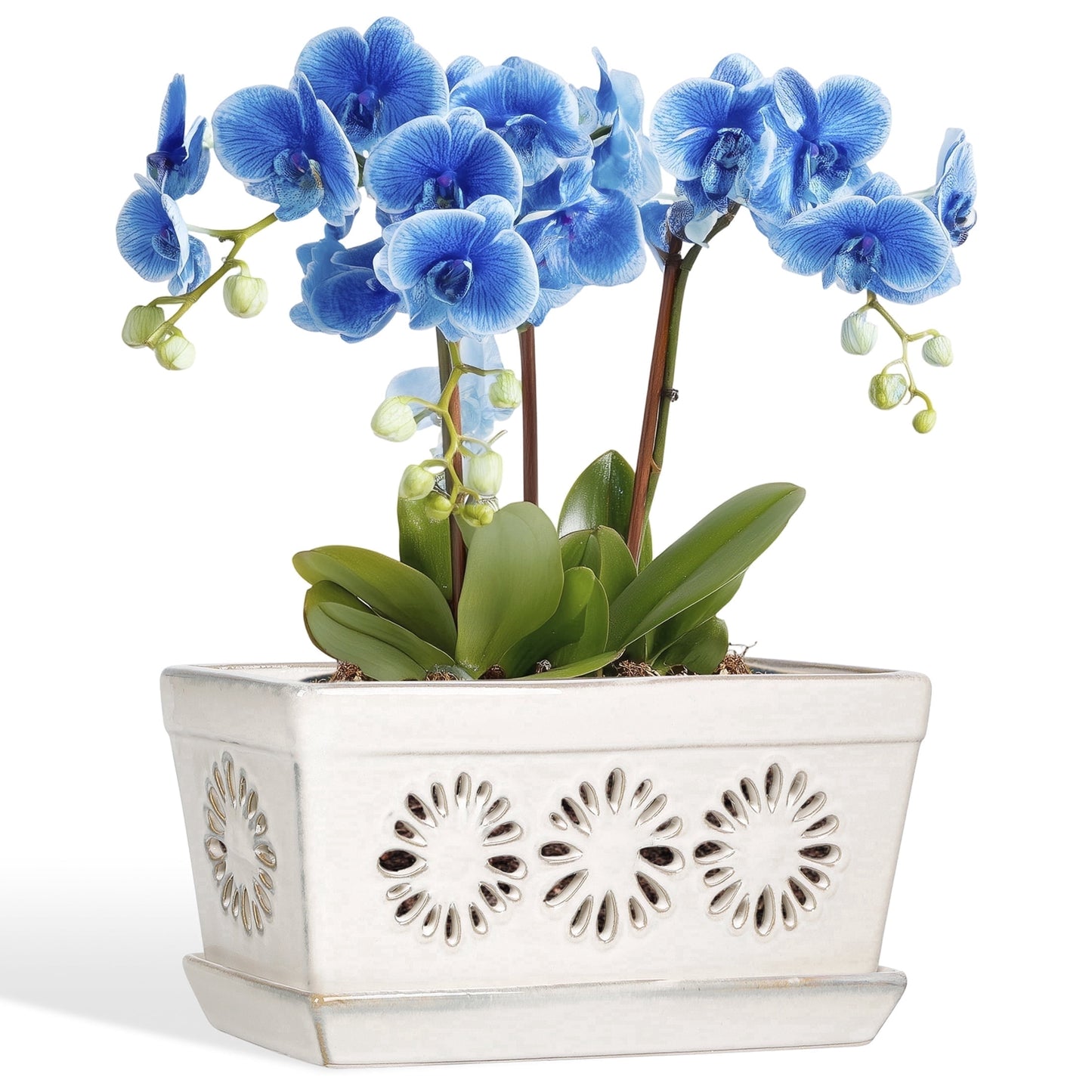 Ceramic Orchid Pot, 10 Inch Orchid Pots with Holes, Premium Thickened Handmade Glazed Pot for Orchidaceae Plants, Indoor Outdoor Decorative Flower Pots for Easy Repotting