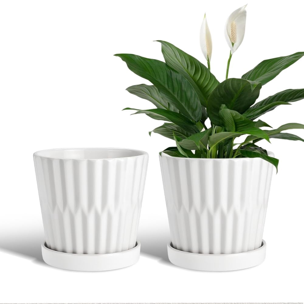 EFISPSS 6 Inch Pots for Indoor Plants,Ceramic Plant Pots,Planters with Drainage Hole and Saucer, Flower Pots Desktop Office Windowsill Decoration Gift Set of 2 - White