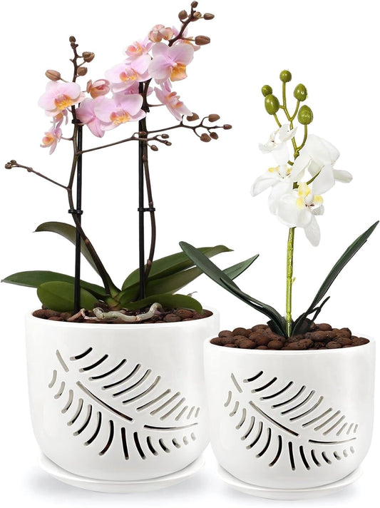 EFISPSS 5+6 Inch White Ceramic Orchid Pots with Drainage Holes & Tray | Promotes Air Circulation, Indoor Outdoor
