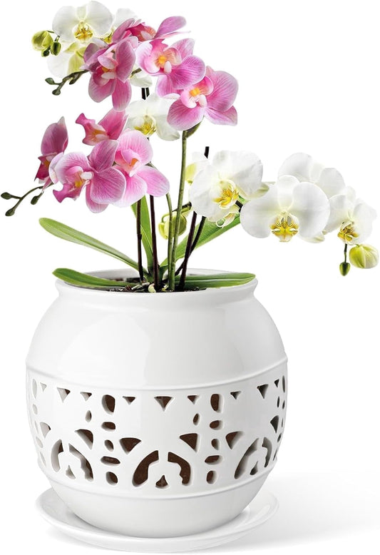 BUYMAX 6 Inch White Ceramic Orchid Pot with Drainage Holes and Tray ¨C Indoor/Outdoor Planter for Repotting, New Plants, and Root Ventilation