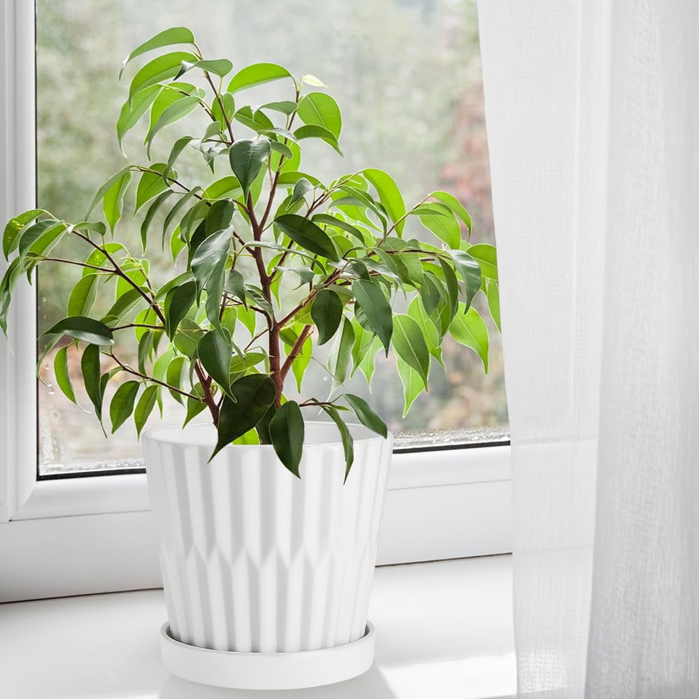 EFISPSS 6 Inch Pots for Indoor Plants,Ceramic Plant Pots,Planters with Drainage Hole and Saucer, Flower Pots Desktop Office Windowsill Decoration Gift Set of 2 - White