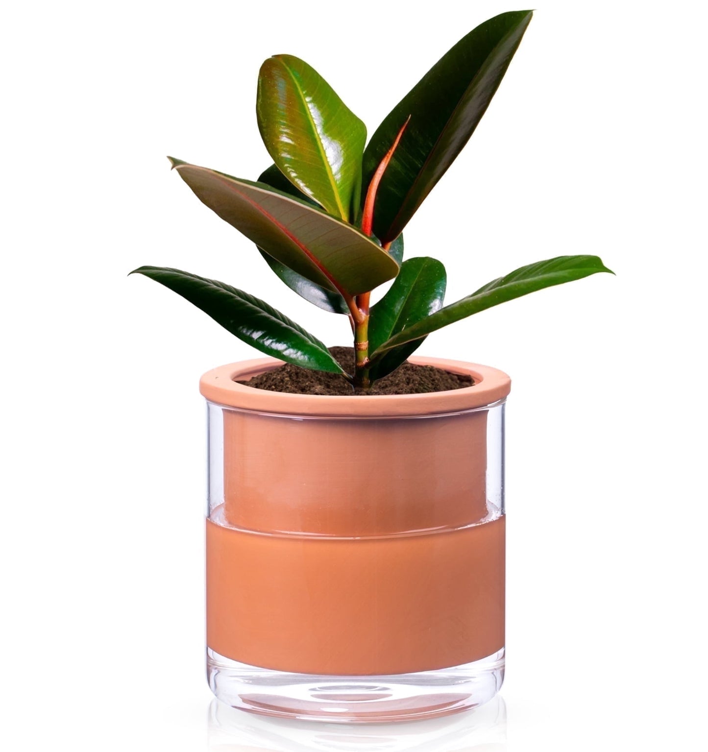 EFISPSS 6 Inch Self-Watering Terracotta Plant Pot with Glass Reservoir | Indoor Planter for Succulents & Home Office Decor