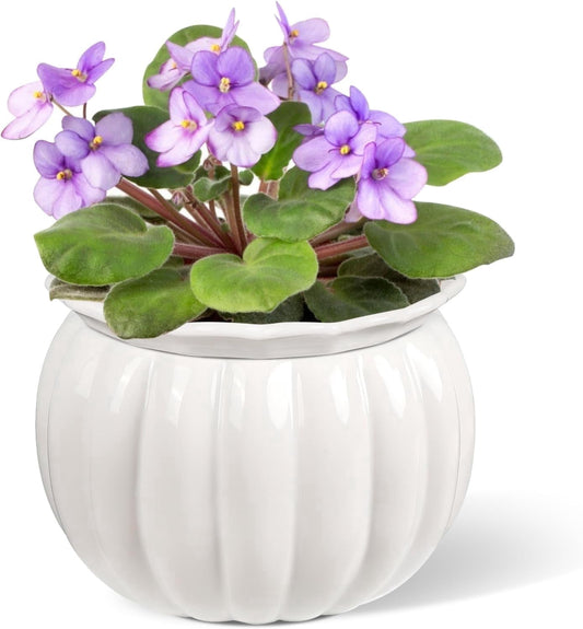 EFISPSS 6 Inch White Pumpkin Ceramic Self-Watering Planter | Decorative Pot for African Violets & Succulents