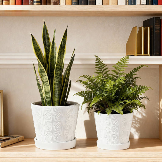 BUYMAX Ceramic plant pots with drainage holes and tray,5+6 inch embossed seashell design flower pots , White £¬Set of 2