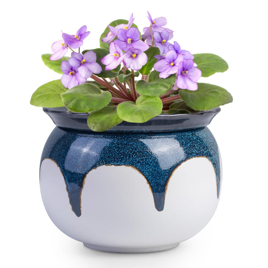 EFISPSS 6 Inch Ceramic Self-Watering African Violet Pot | Kiln Glazed Blue & White