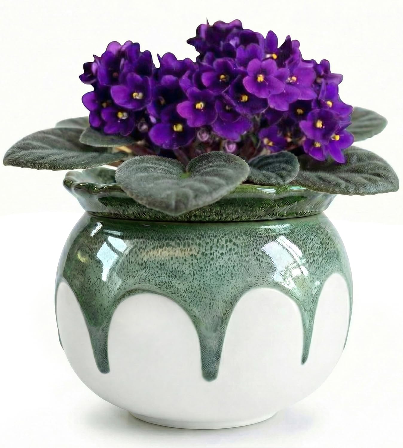 EFISPSS 6 Inch Ceramic Self-Watering African Violet Pot | Kiln Glazed Green & White