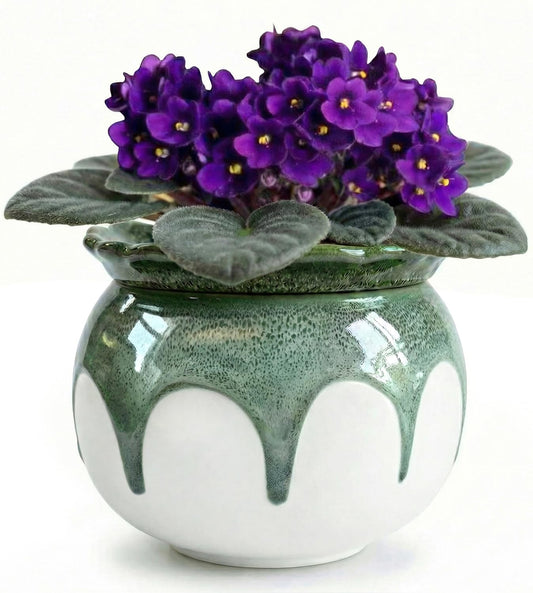 EFISPSS 6 Inch Ceramic Self-Watering African Violet Pot | Kiln Glazed Green & White