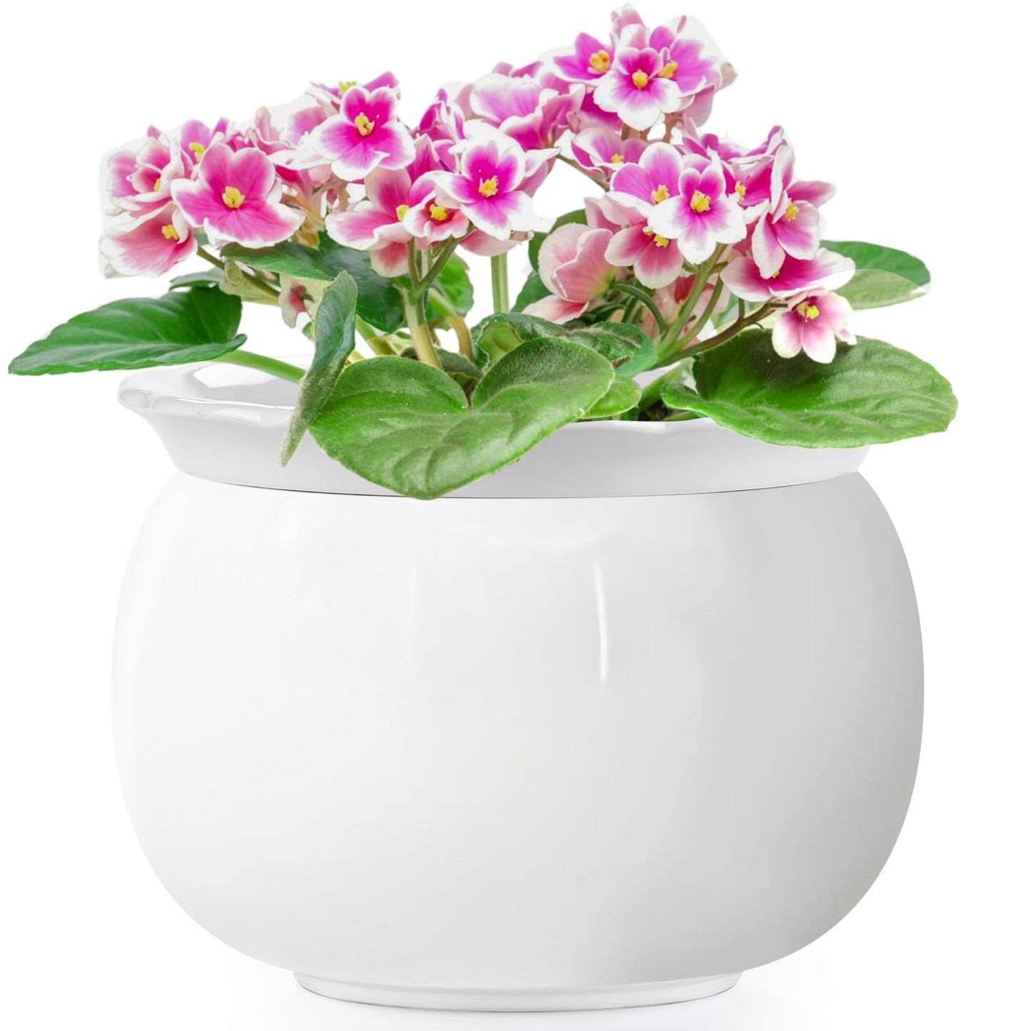 EFISPSS 8 Inch Ceramic Self-Watering Plant Pot | African Violet Pot, Indoor, White