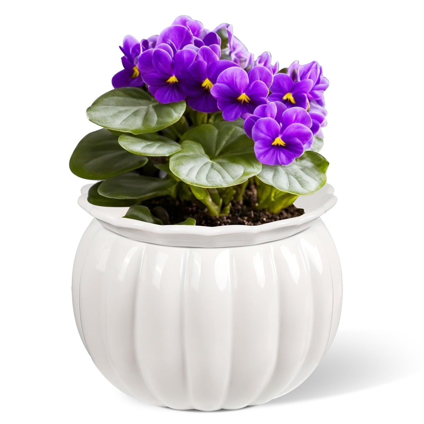 EFISPSS 6 Inch White Pumpkin Ceramic Self-Watering Planter | Decorative Pot for African Violets & Succulents
