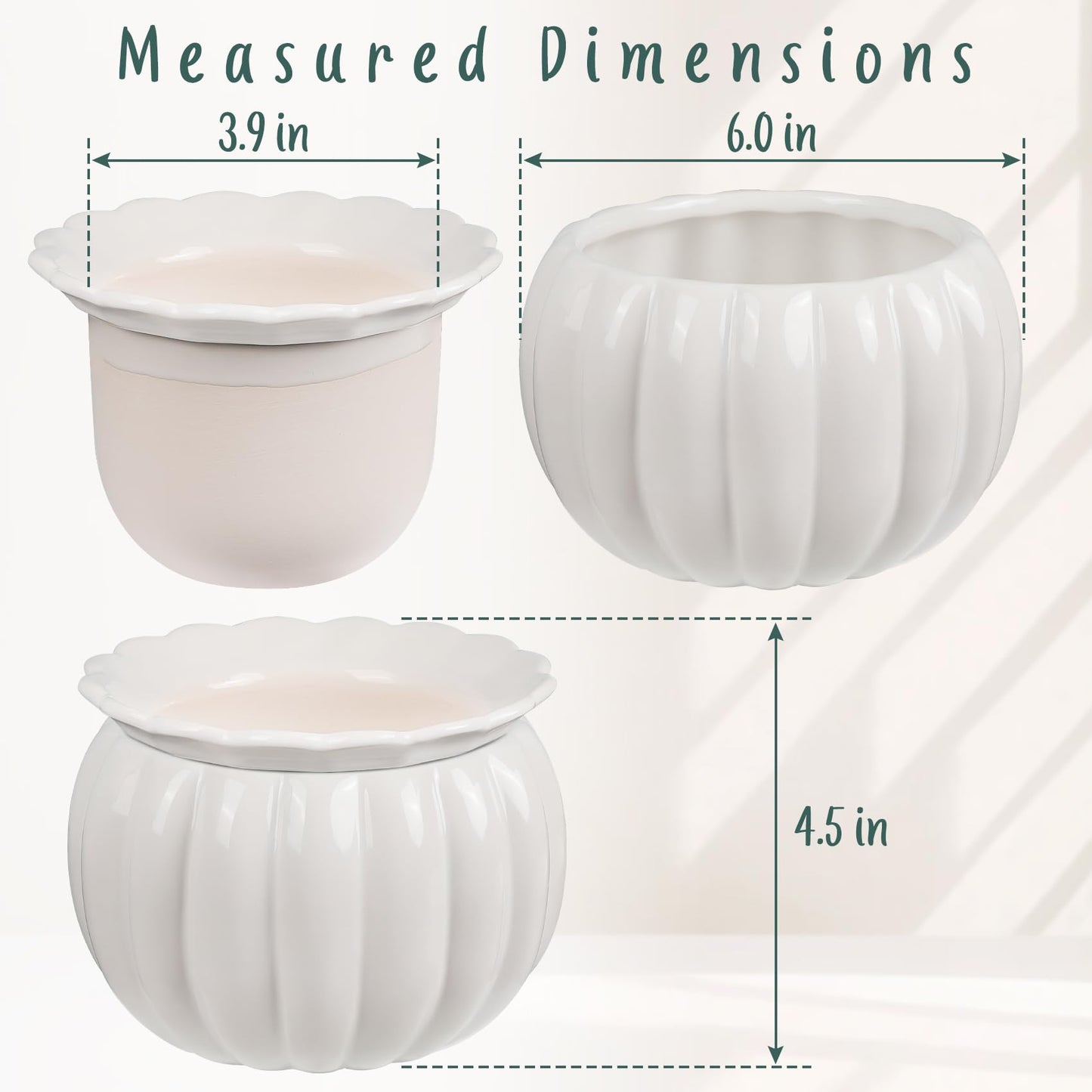 EFISPSS 6 Inch White Pumpkin Ceramic Self-Watering Planter | Decorative Pot for African Violets & Succulents