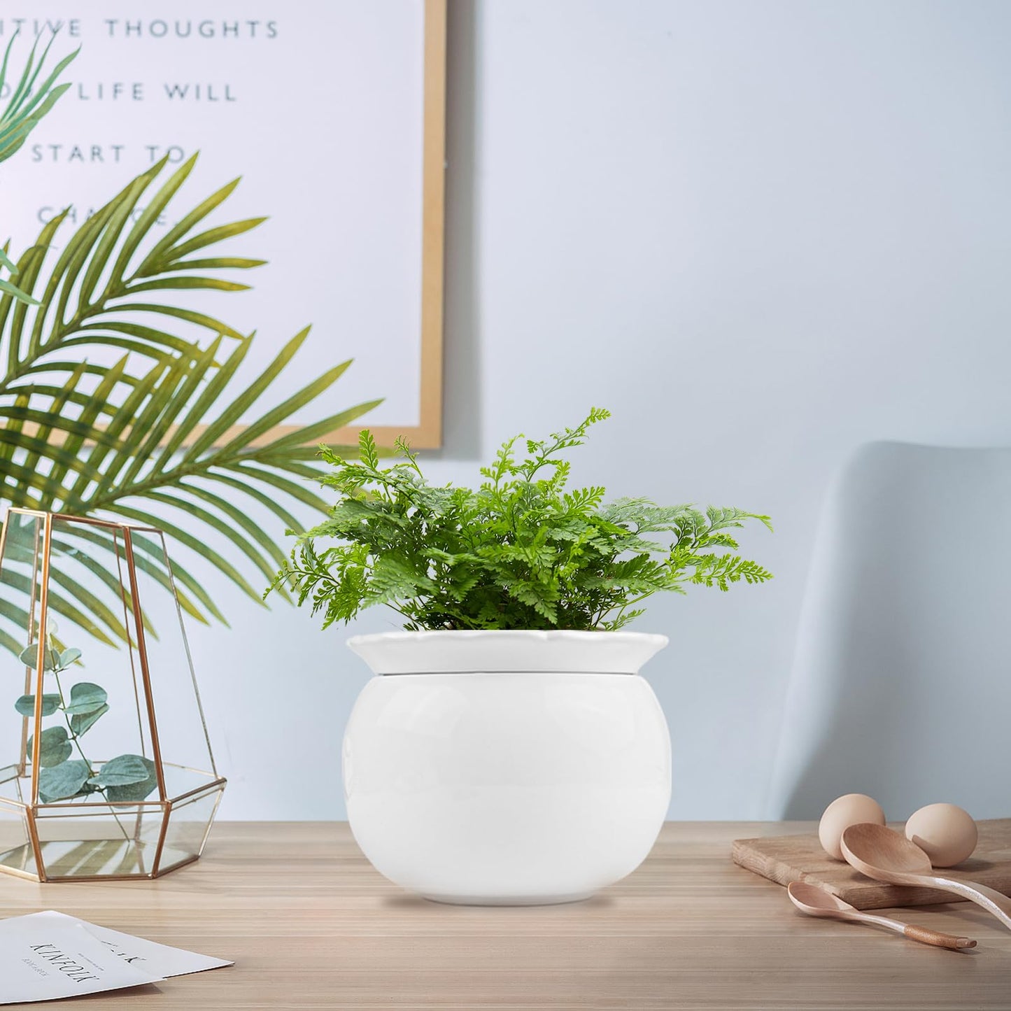 EFISPSS Ceramic Self Watering Plant Pot – African Violet Pot, 5.7" D x 4.3" H, Indoor Outdoor Flower Planter, White