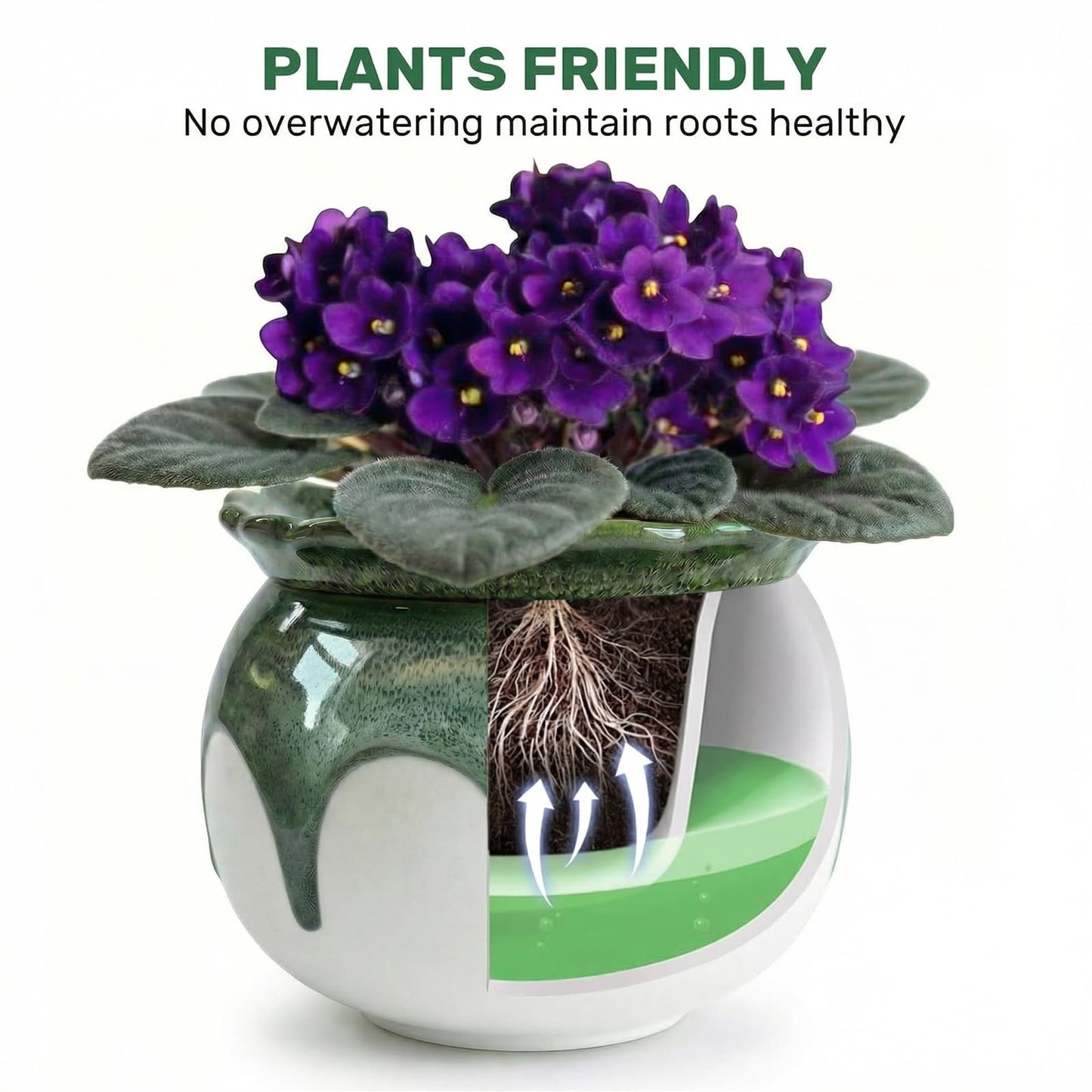 EFISPSS 6 Inch Ceramic Self-Watering African Violet Pot | Kiln Glazed Green & White