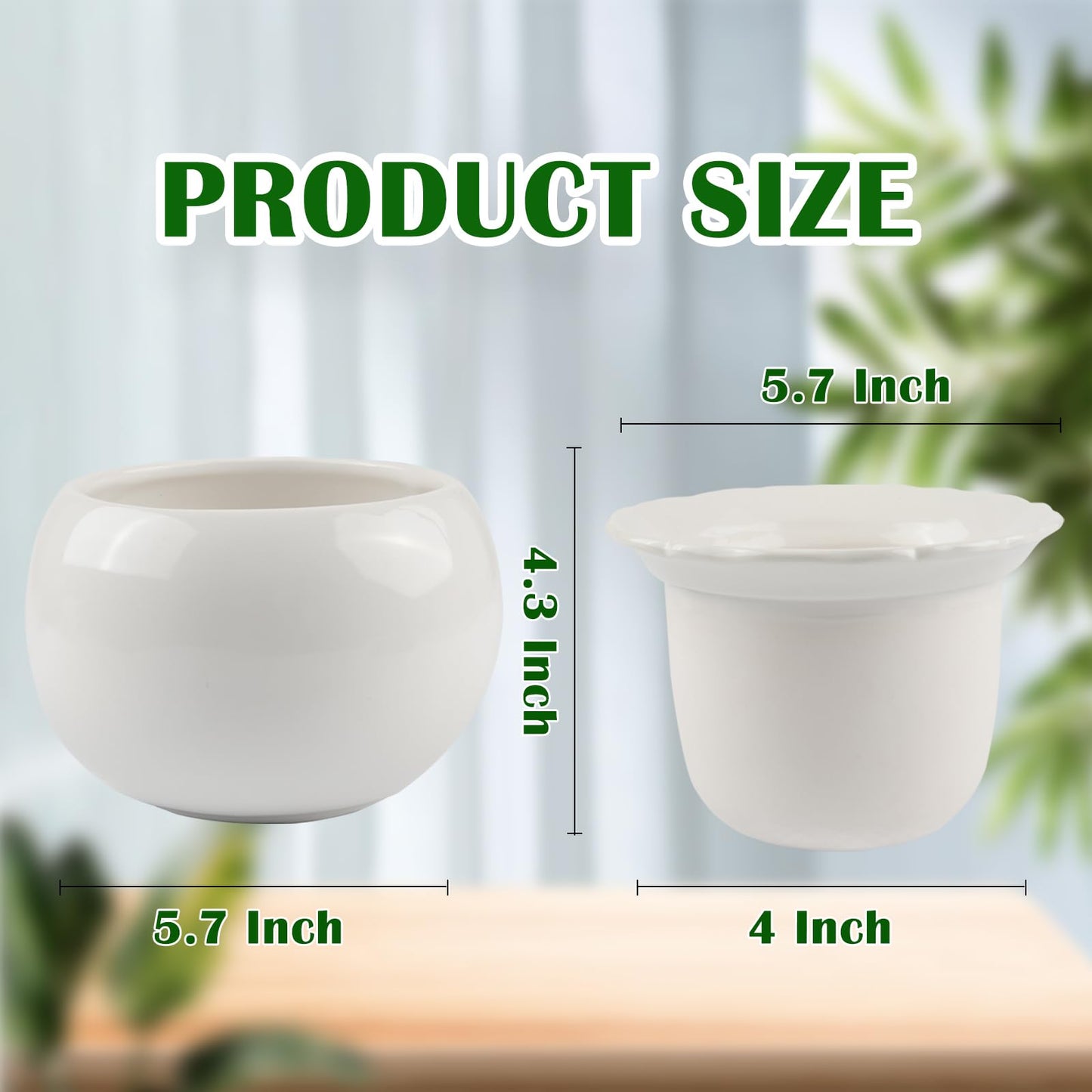 EFISPSS Ceramic Self Watering Plant Pot – African Violet Pot, 5.7" D x 4.3" H, Indoor Outdoor Flower Planter, White