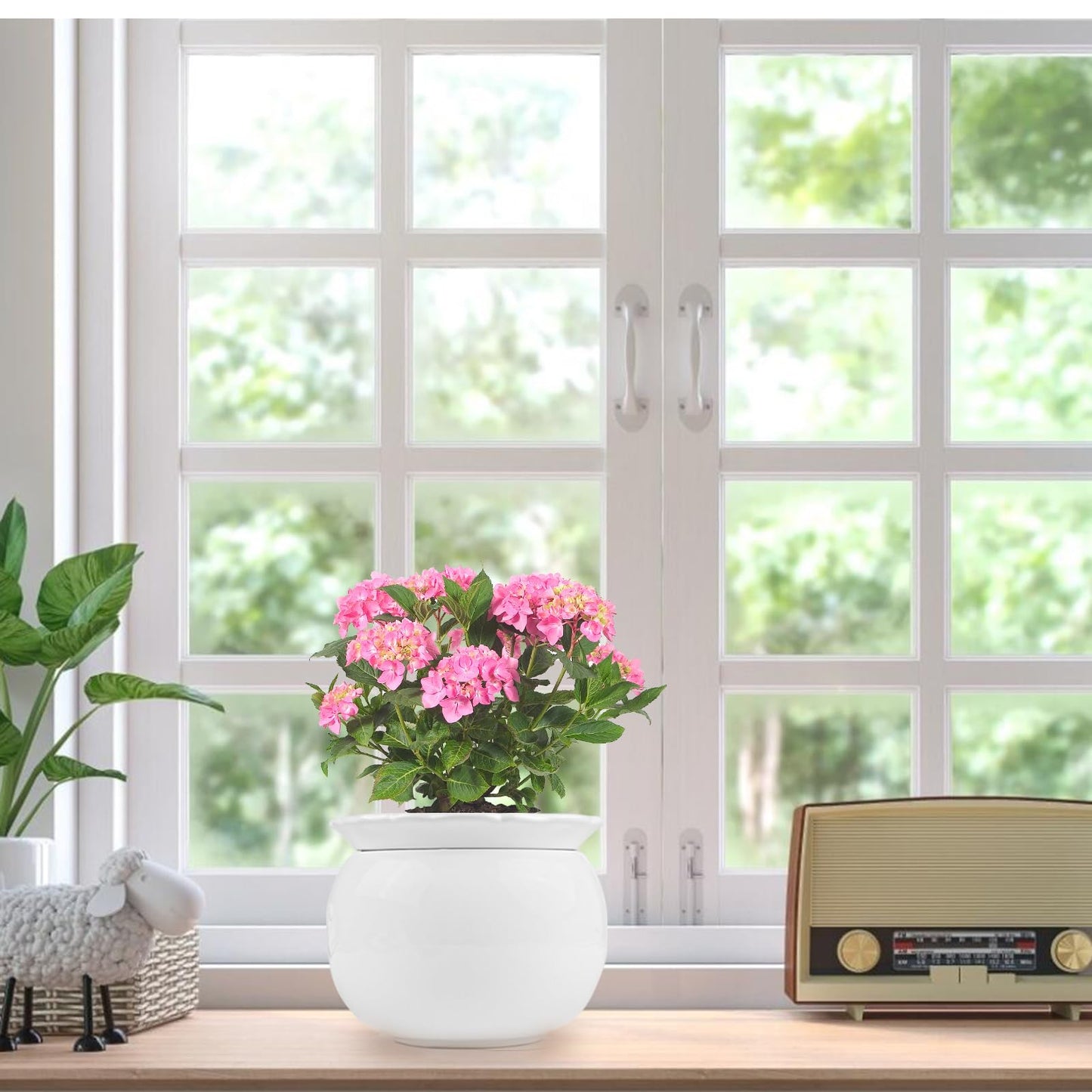 EFISPSS Ceramic Self Watering Plant Pot – African Violet Pot, 5.7" D x 4.3" H, Indoor Outdoor Flower Planter, White
