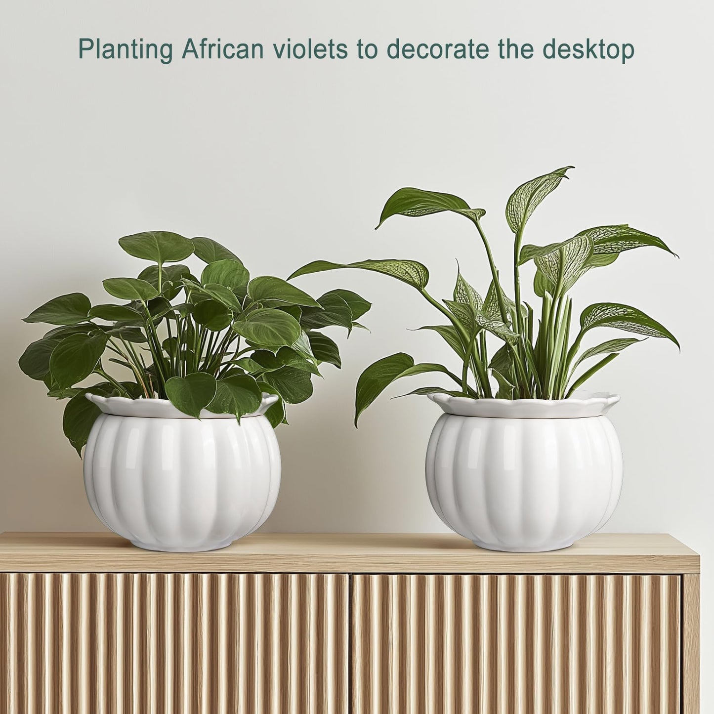 EFISPSS 6 Inch White Pumpkin Ceramic Self-Watering Planter | Decorative Pot for African Violets & Succulents
