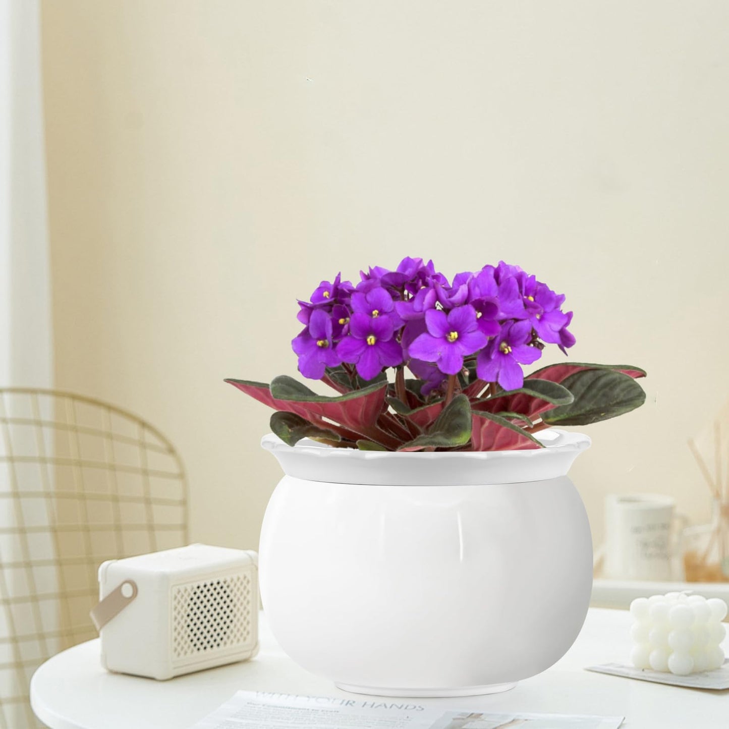 EFISPSS 8 Inch Ceramic Self-Watering Plant Pot | African Violet Pot, Indoor, White