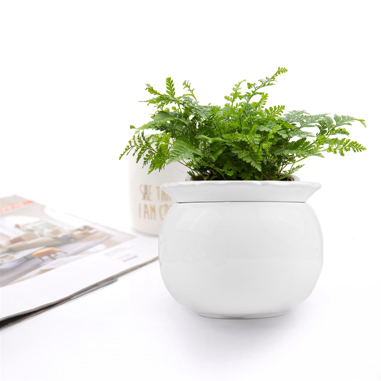 EFISPSS Ceramic Self Watering Plant Pot – African Violet Pot, 5.7" D x 4.3" H, Indoor Outdoor Flower Planter, White